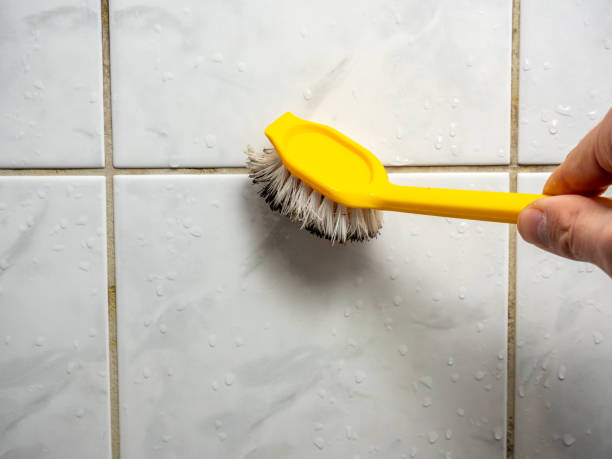 Edwards Af, CA Mold Remediation Company