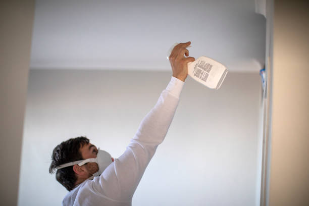 Best Health and Safety Mold Remediation in Edwards Af, CA
