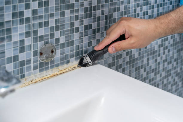 Best Kitchen Mold Remediation in Edwards Af, CA