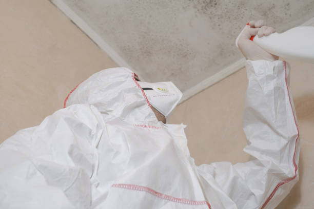 Best Post-Remediation Services in Edwards Af, CA